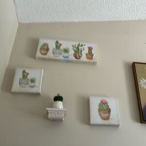Cactus wall hangings  very cute